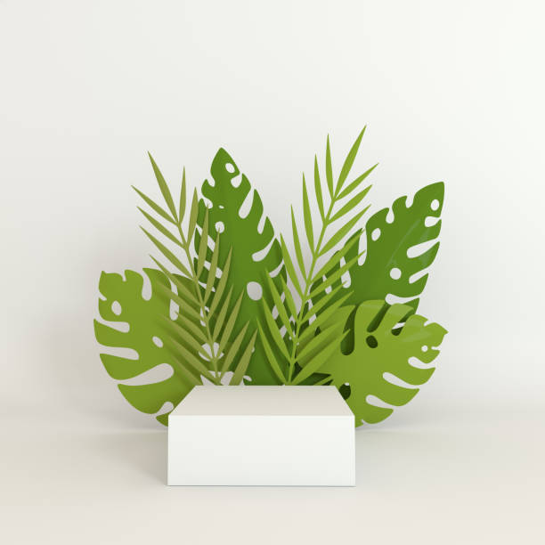 istock Tropical paper palm, monstera leaves frame, podium platform for product presentation. Summer tropical leaf. Origami exotic hawaiian jungle, summertime background. Paper cut 3d render 1159096494