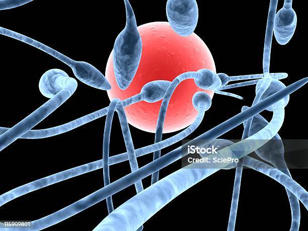 Sperms Stock Photo - Download Image Now - Fibroblast, Abstract, Animal Zygote