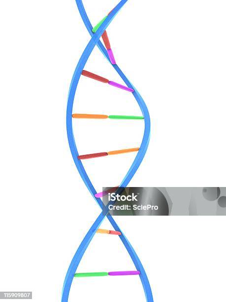 Photo libre de droit de Adn banque d'images et plus d'images libres de droit de ADN - ADN, Biochimie, Biologie