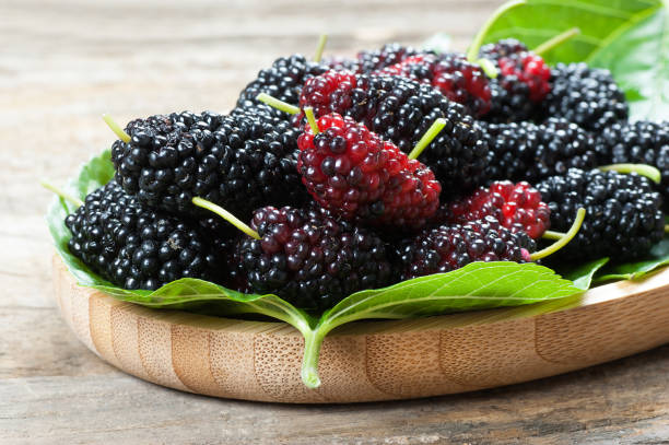 świeże dojrzałe owoce jagodowe z czarnej morwy z liśćmi na rustykalnym tle, koncepcja czerwonych owoców jeżynowych - blackberry fruit mulberry isolated zdjęcia i obrazy z banku zdjęć