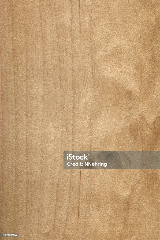 Legno di acero, Acer saccharinum - Foto stock royalty-free di Acero