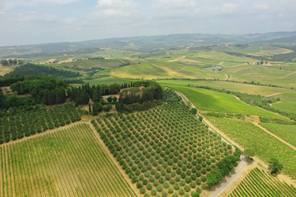 istock Tuscany, Italy. Countryside aerial view 1159100514
