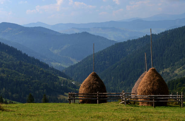 istock Farm in the Carpathian mountains in Ukraine 1159102629