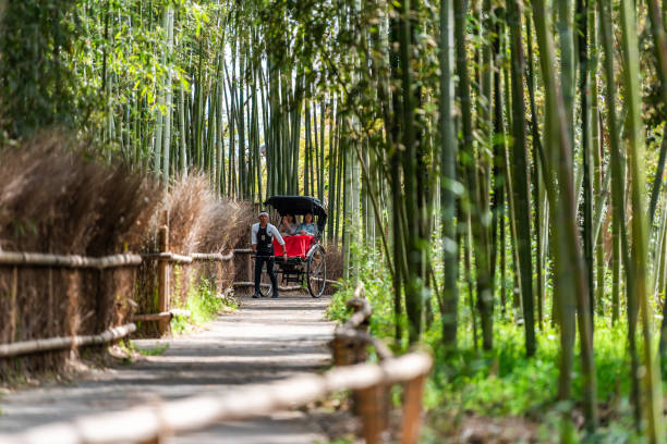 arashiyama bambusowy park leśny w ciągu dnia z ludźmi turystów jazda wycieczka rikszą na szlaku - sagano zdjęcia i obrazy z banku zdjęć