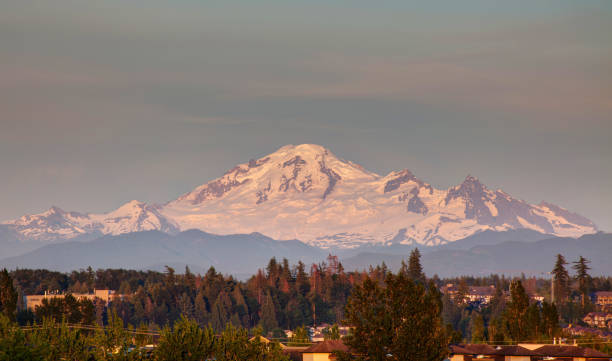 Langley Bc Airbnb