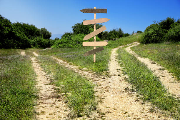 countryside forked dirt road with wooden directional signs on green hill landscape - directional sign wood sign footpath imagens e fotografias de stock