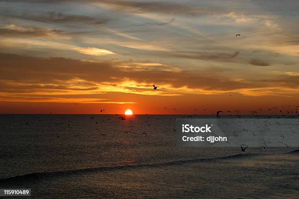 Photo libre de droit de Lever Du Soleil De Daytona Avec Oiseaux 5 banque d'images et plus d'images libres de droit de Beauté - Beauté, Couvrir, Daytona Beach