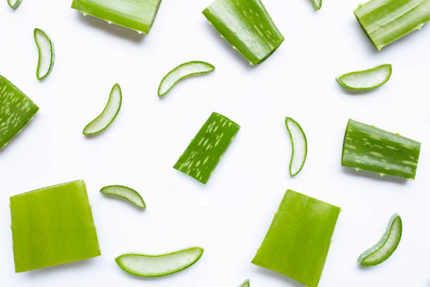 istock Aloe vera pieces with  slices on white 1159105549