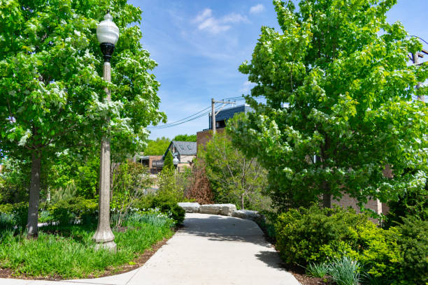 istock Path at a Park on the 606 Trail in Wicker Park Chicago 1159107069