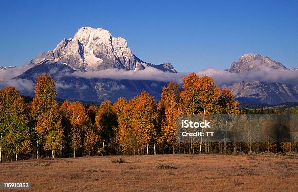 Photo libre de droit de Mont Moran banque d'images et plus d'images libres de droit de Admirer le paysage - Admirer le paysage, Arbre, Arbre à feuilles caduques