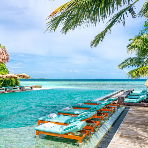 tanning beds beside swimming pool in tropical resort in maldives - empreendimento turístico imagens e fotografias de stock