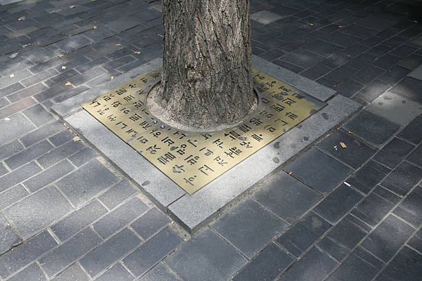 The Korean alphabet (Hanguel)