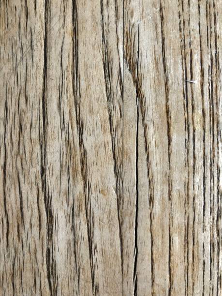 istock Close up of wood background texture 1159110842
