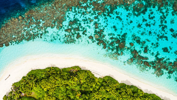 istock Tropical Island in the Ocean 1159110908