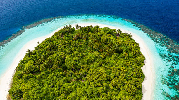 istock Tropical Island in the Ocean 1159111936