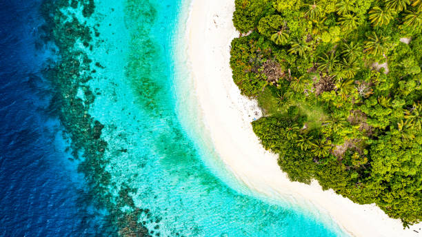 istock Tropical Island in the Ocean 1159112515