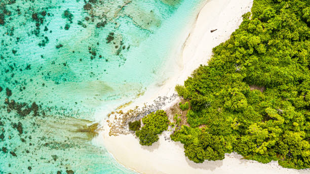 istock Tropical Island in the Ocean 1159112546