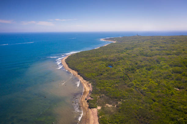 istock Long island seen from the air 1159114152