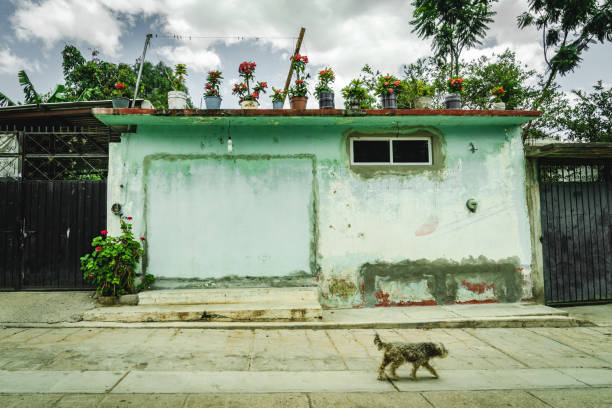 istock at San Antonio Arrazola 1159116411