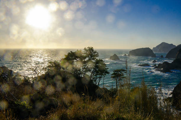 istock West Izu coast landscape in Japan 1159120792