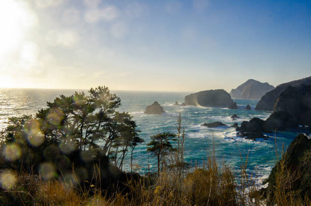 istock West Izu coast landscape in Japan 1159120804