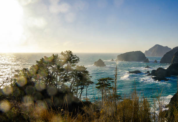 istock West Izu coast landscape in Japan 1159120807