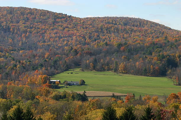 istock Upstate New York Farm Scenic View 115912269
