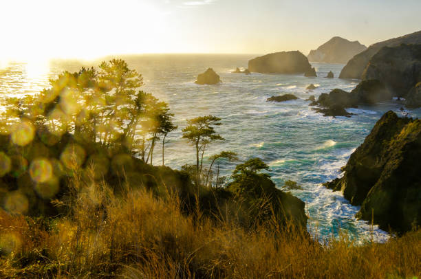 istock West Izu coast landscape in Japan 1159122855