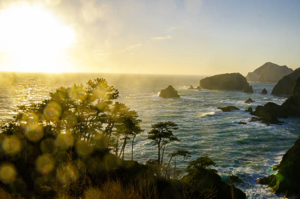 istock West Izu coast landscape in Japan 1159122862