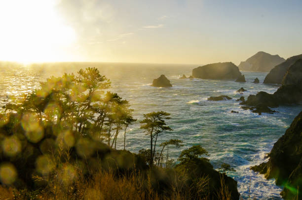 istock West Izu coast landscape in Japan 1159122869