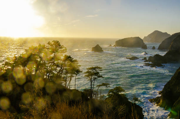 istock West Izu coast landscape in Japan 1159122876