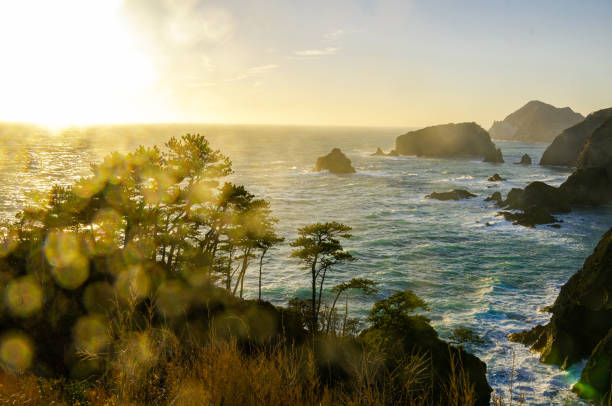 istock West Izu coast landscape in Japan 1159122883