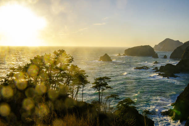 istock West Izu coast landscape in Japan 1159122925