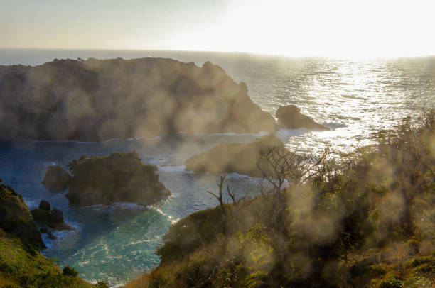 istock West Izu coast landscape in Japan 1159123570