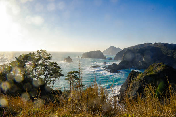istock West Izu coast landscape in Japan 1159123592