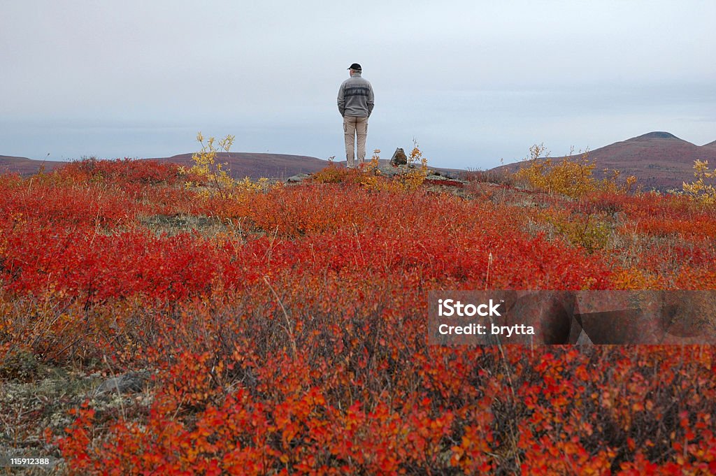 Surplombant - Photo de Territoire du Yukon libre de droits
