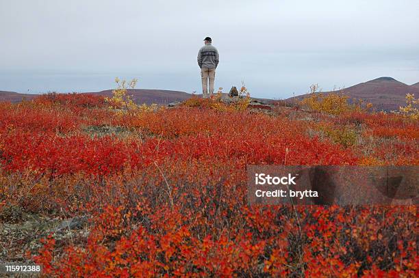 Photo libre de droit de Surplombant banque d'images et plus d'images libres de droit de Territoire du Yukon - Territoire du Yukon, Troisième âge, Admirer le paysage