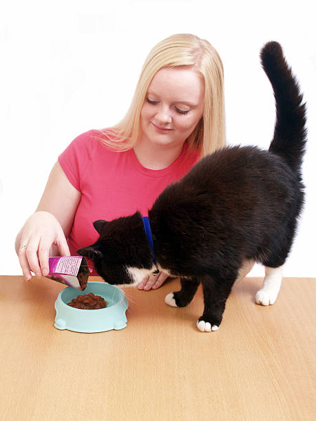istock Girl Feeding Cat 115912588