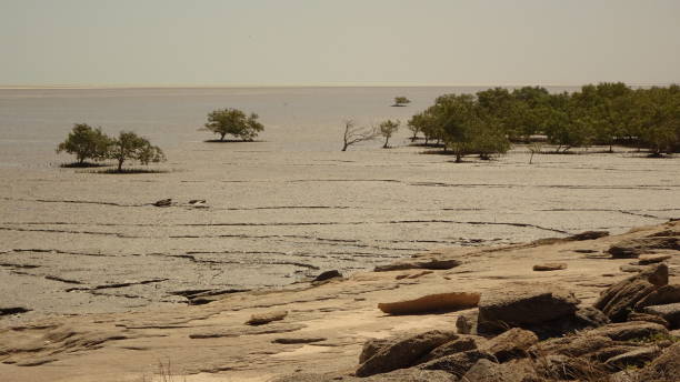 golfo de carpentaria, qld. - arafura sea - fotografias e filmes do acervo