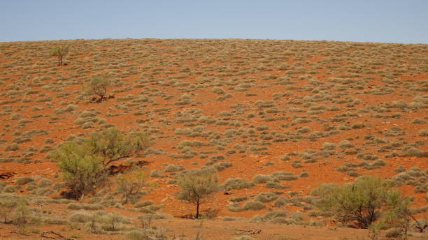 istock Huck's lookout, SA 2. 1159127013