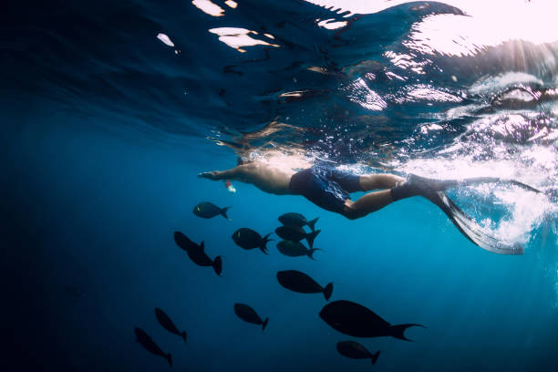 istock Freediver man swim with tropical fish in ocean 1159131060