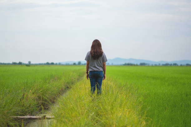istock a woman standing and looking at a beautiful rice field 1159132453