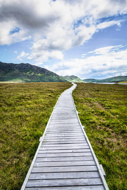 istock The Path to the Mountains 1159133289