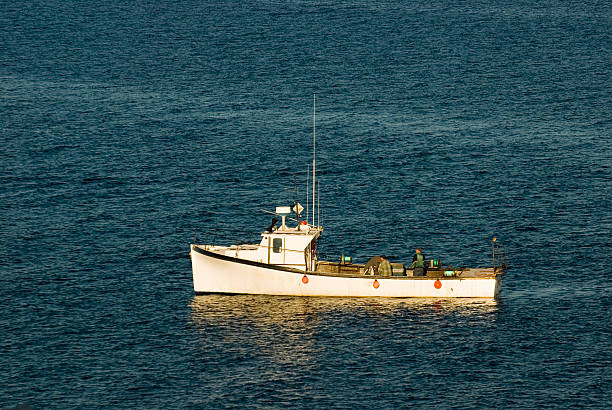 istock Lobster Fishermen 115913331
