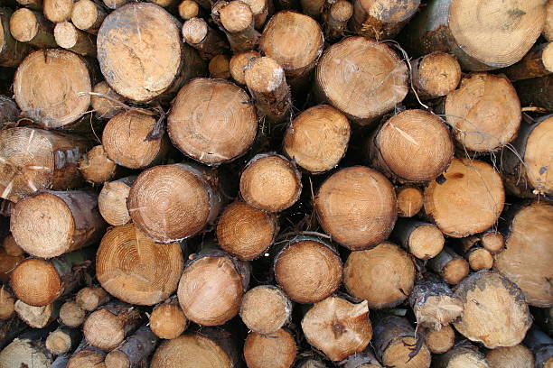 istock pile of logs 115913633