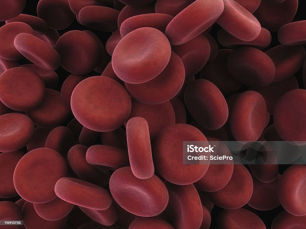 Blutkörperchen - Lizenzfrei Arterie Stock-Foto