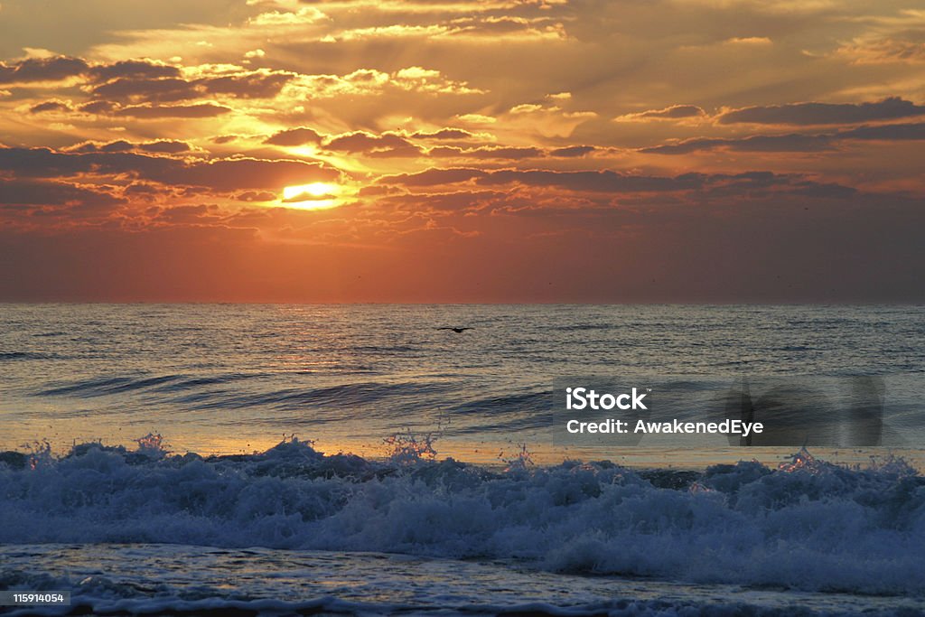 해양수 왜고너의 보세요 - 로열티 프리 경관 스톡 사진