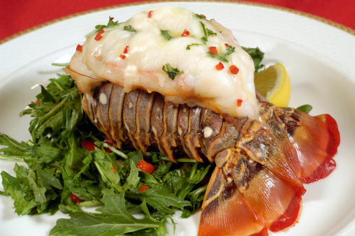 Lobster Tail from Maine