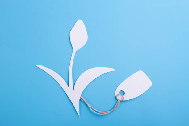istock flower with price tag 1159142129