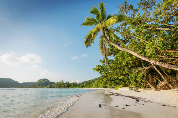 istock Anse Royale Beach Seychelles Mahe Island Lazarus Bay 1159143487